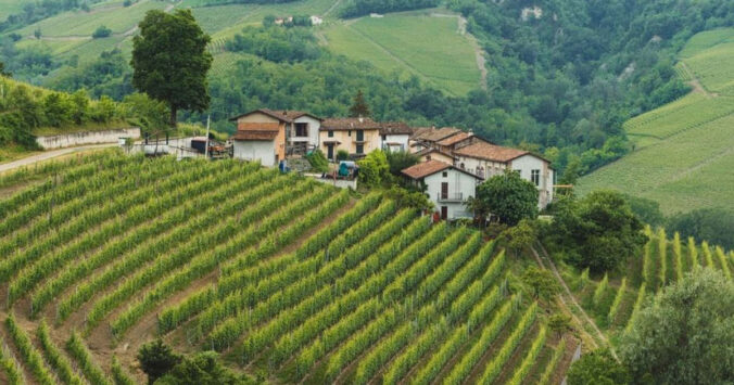 Scoprendo i sentieri del vino nella campagna italiana